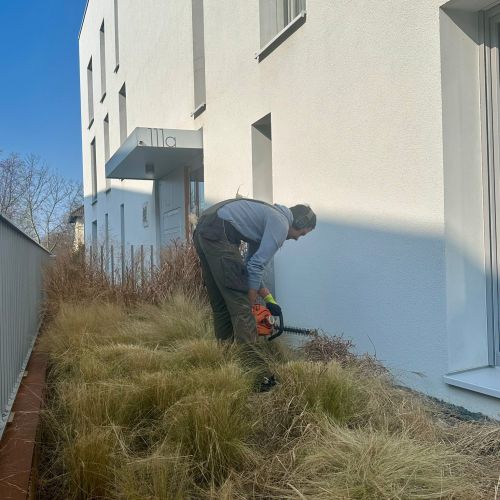 Frühjahrsputz auf unseren Grünflächen – Zeit für frische Farben im Wohnumfeld